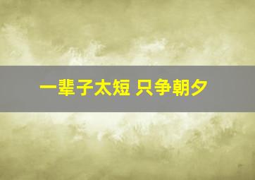 一辈子太短 只争朝夕